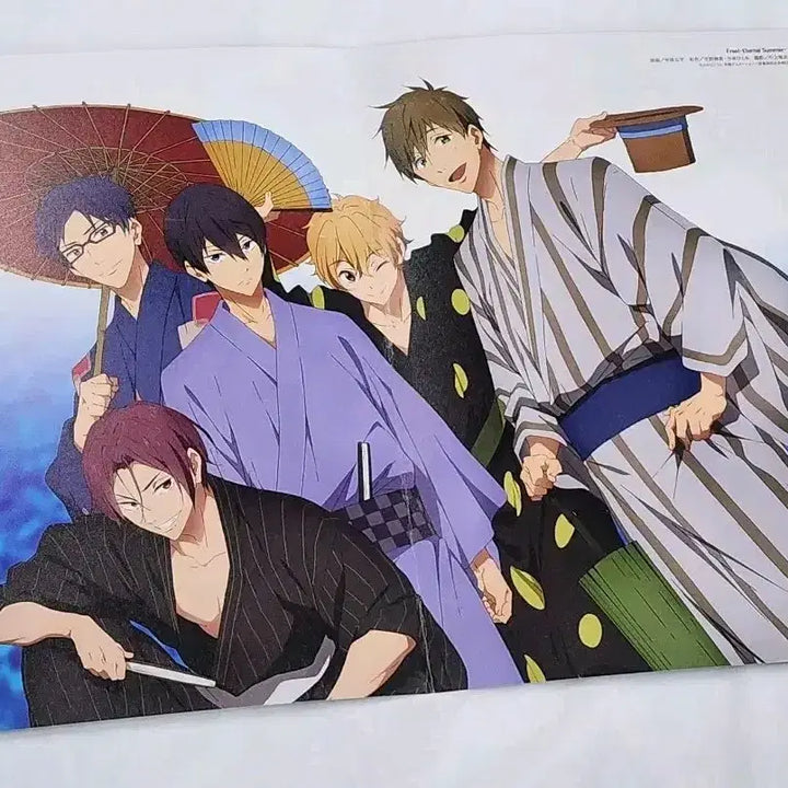 [BUNJANG] Free! A4 Double-Sided Pin-up / free! 프리 a4 양면 핀업