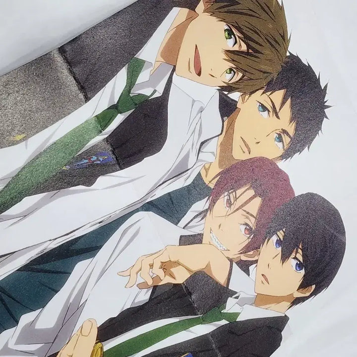 [BUNJANG] Free! A4 Double-Sided Pin-up / free! 프리 a4 양면 핀업
