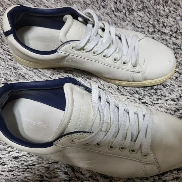 [BUNJANG] Lacoste Sneakers (Size 270) / 라코스테"단화신발~