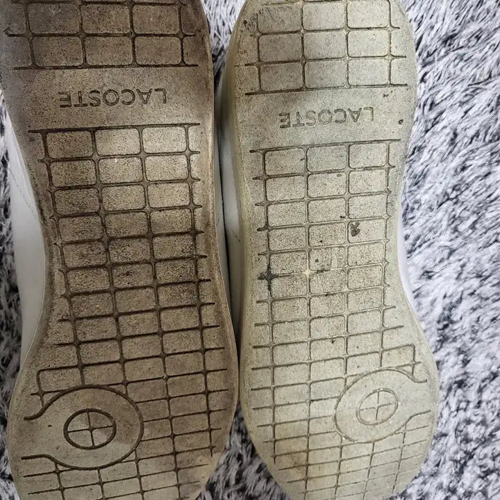 [BUNJANG] Lacoste Sneakers (Size 270) / 라코스테"단화신발~