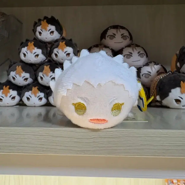 [SOLD OUT] 하이큐 모찌마스 누이 인형 호시우미
