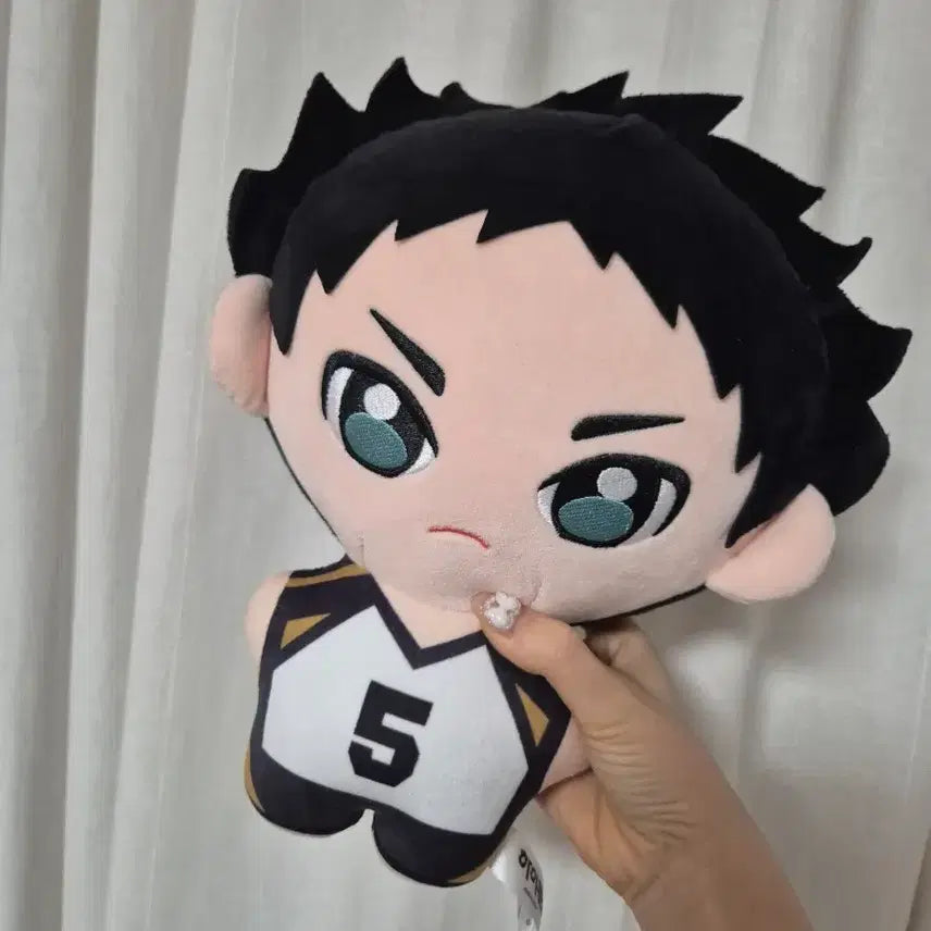 [BUNJANG] Haikyu Akashi Keiji Plush Doll / 하이큐 아카시 케이지 인형