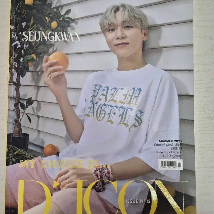 [SOLD OUT] 세븐틴 승관 디아이콘 포토북 양도 포카 교환 분철 일괄 앨범 dvd부승관