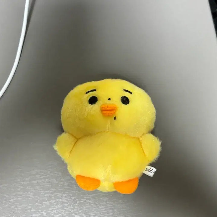 [SOLD OUT] 앤팀 죠 앤베베즈 콩알죠