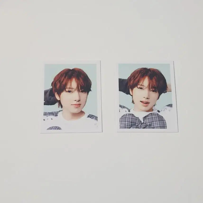 [BUNJANG] Color Pop-up Sakuya 증명사진 Bundle Set / 컬러 팝업 사쿠야 증사 일괄