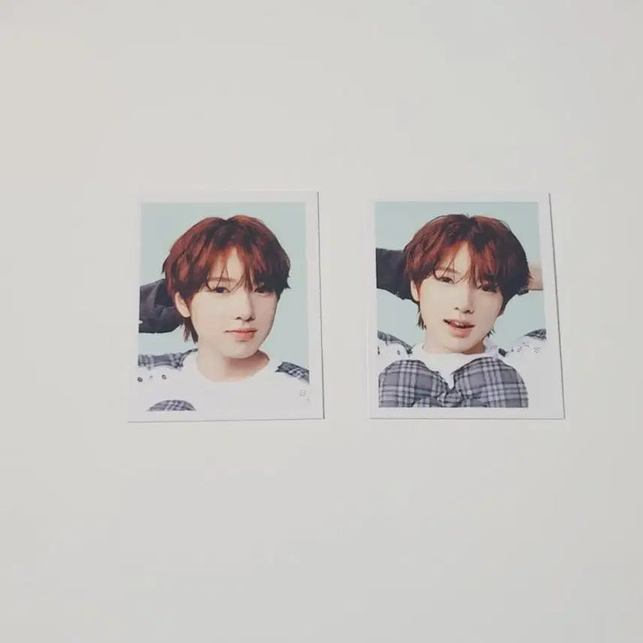 [BUNJANG] Color Pop-up Sakuya 증명사진 Bundle Set / 컬러 팝업 사쿠야 증사 일괄