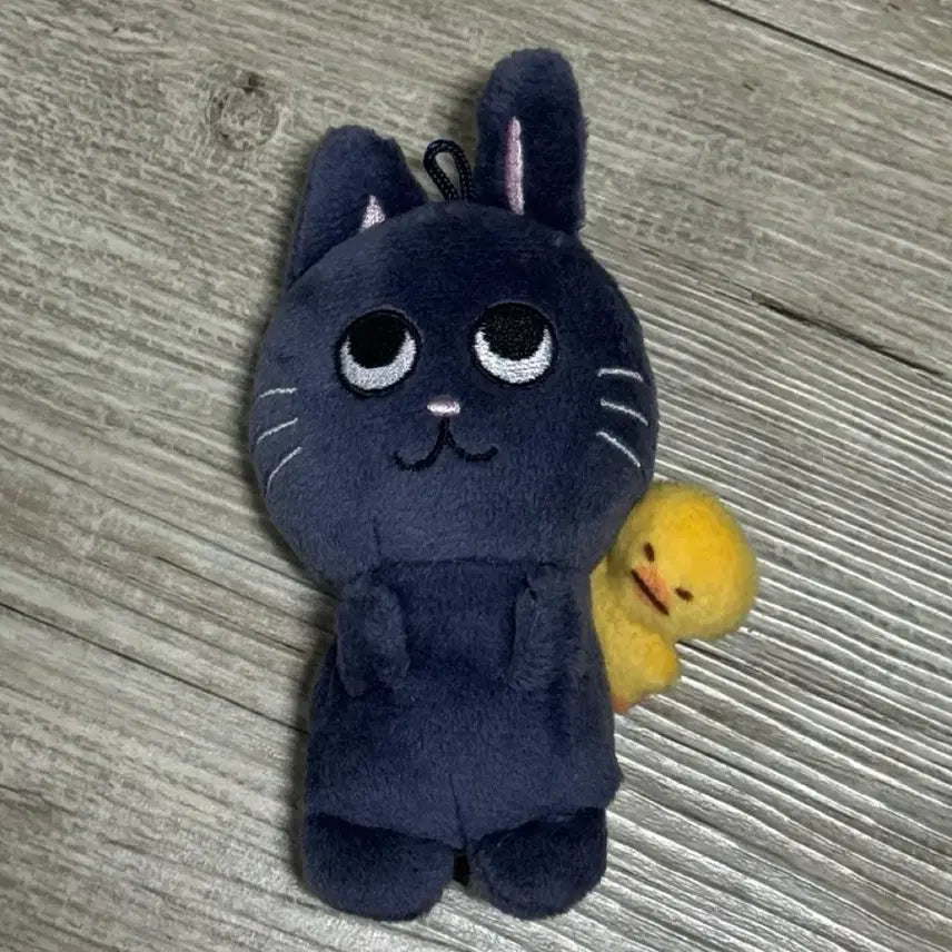 [BUNJANG] RIIZE Wonbin Tonyangduck 10cm Doll / 라이즈 원빈 토냥덕 10cm 인형 양도 판매