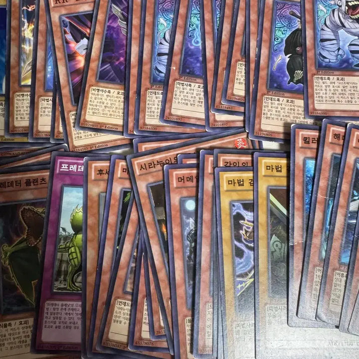 [BUNJANG] Yu-Gi-Oh! 1st Edition Normal Card Bundle Set / 유희왕 전부 1st 노말카드 일괄
