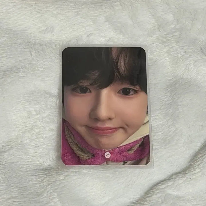 [BUNJANG] NCT WISH Sakuya Japanese Individual Album Photocard Bundle Set / 엔시티위시 사쿠야 위시 일본 개인반 포카 일괄 양도
