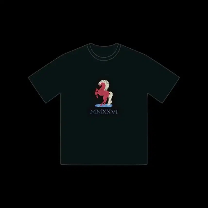 [SOLD OUT] 아이앱 레드홀스 티셔츠 (L)