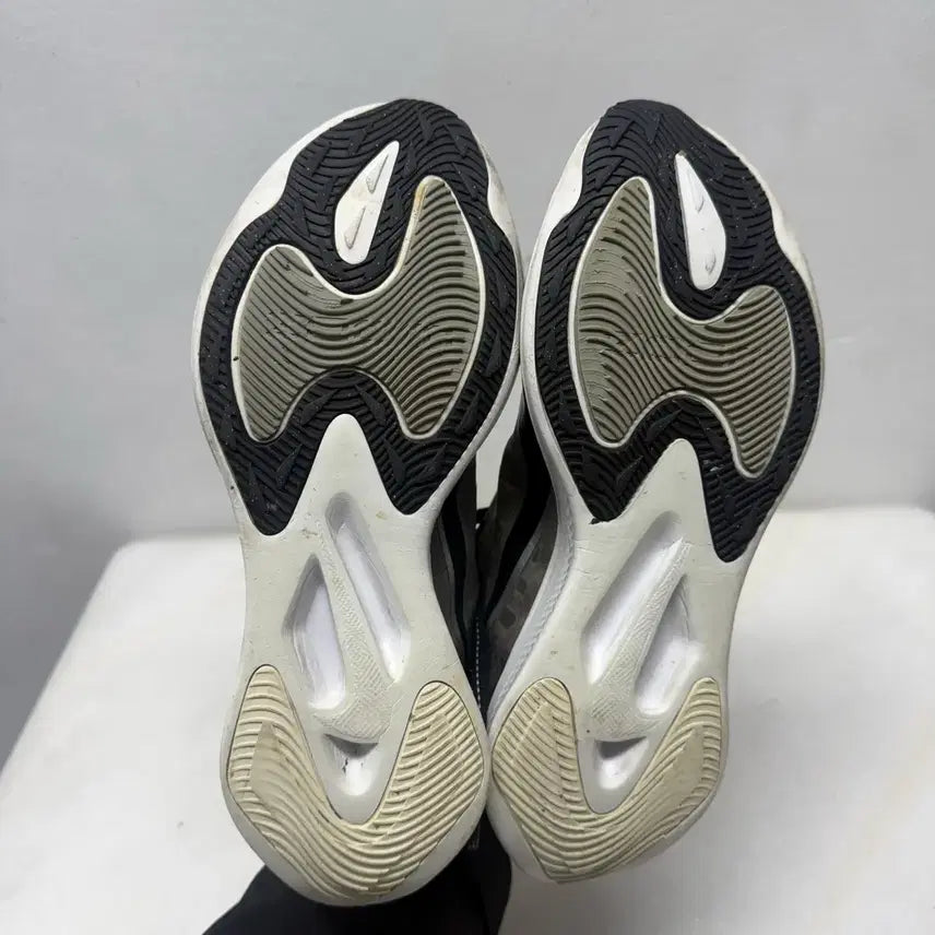 [BUNJANG] Nike Air Zoom Gravity Running Shoes / (250)나이키 운동화 에어 줌 그래비티 런닝화