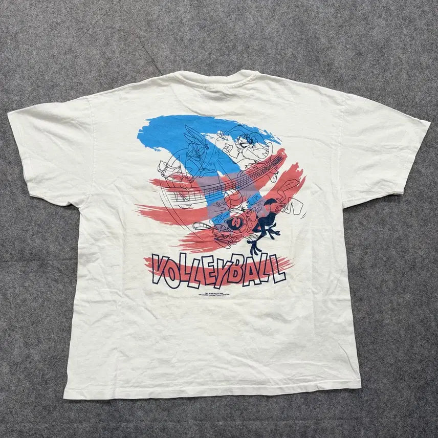 [BUNJANG] Hanes Warner Bros. Volleyball Vintage T-shirt / 90s Vintage Hanes Heavyweight Tshirt