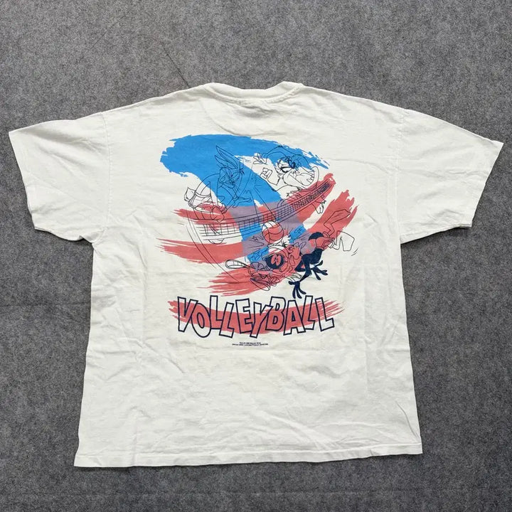 [BUNJANG] Hanes Warner Bros. Volleyball Vintage T-shirt / 90s Vintage Hanes Heavyweight Tshirt