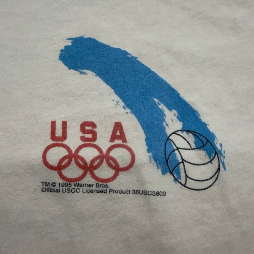 [BUNJANG] Hanes Warner Bros. Volleyball Vintage T-shirt / 90s Vintage Hanes Heavyweight Tshirt