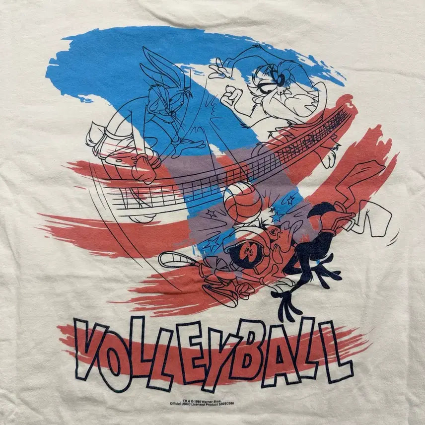 [BUNJANG] Hanes Warner Bros. Volleyball Vintage T-shirt / 90s Vintage Hanes Heavyweight Tshirt