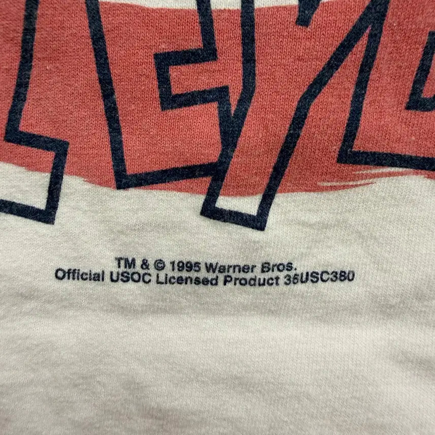 [BUNJANG] Hanes Warner Bros. Volleyball Vintage T-shirt / 90s Vintage Hanes Heavyweight Tshirt