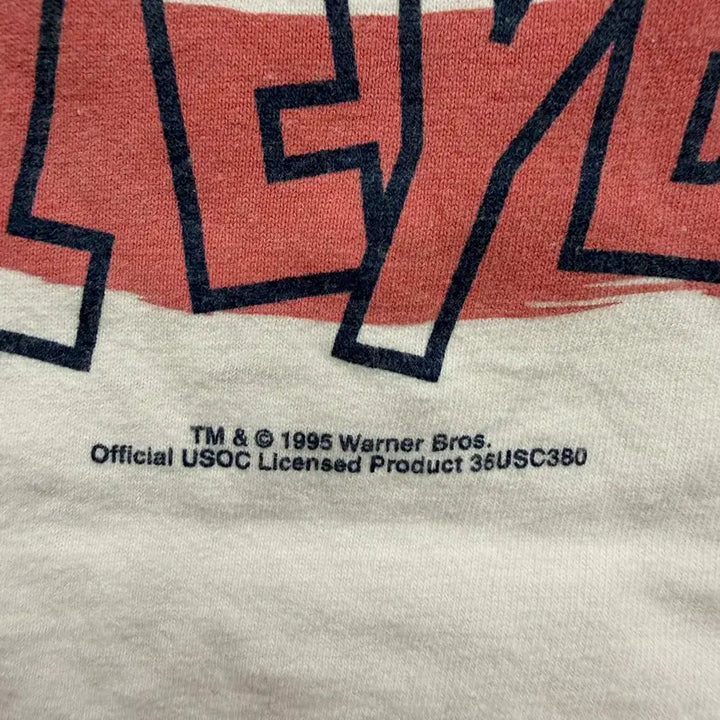[BUNJANG] Hanes Warner Bros. Volleyball Vintage T-shirt / 90s Vintage Hanes Heavyweight Tshirt