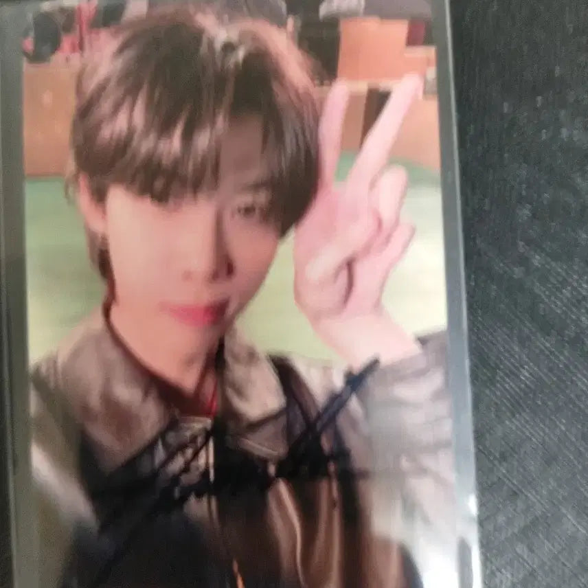[BUNJANG] n.SSign Robin Funky Like Me Signed Photocard / 엔싸인 로빈 공방 싸인 포카 funky like me 양도
