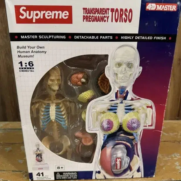[BUNJANG] Supreme Female Anatomy Model Clear - 18FW / 슈프림 피메일 아나토미 모델 클리어 - 18FW