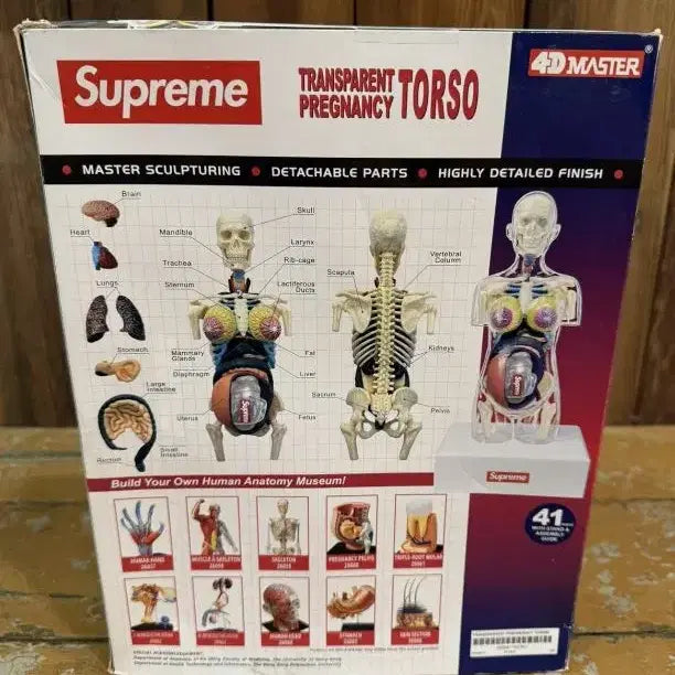 [BUNJANG] Supreme Female Anatomy Model Clear - 18FW / 슈프림 피메일 아나토미 모델 클리어 - 18FW
