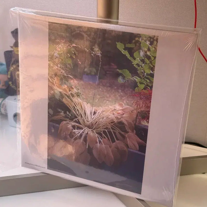 [BUNJANG] Hyukoh Love LP Sealed / 혁오 사랑으로 lp 미개봉