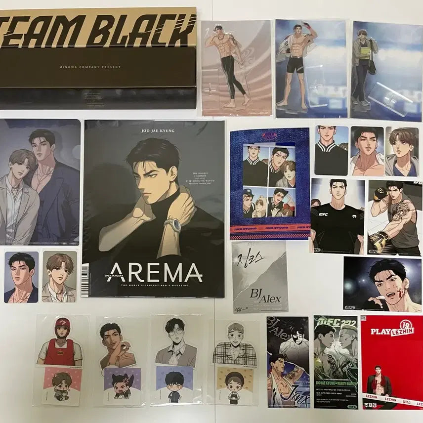 [BUNJANG] Jinx Team Black Joo Jae-kyung Goods Set / (판매) 징크스 밍과 Team Black 주재경 굿즈세트