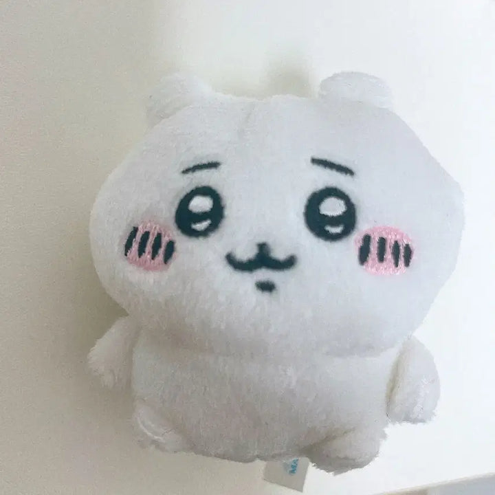 [SOLD OUT] 치이카와 앉은누이
