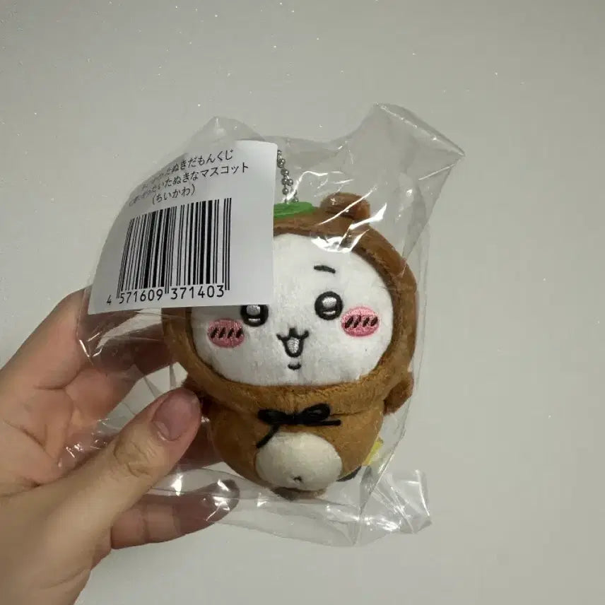 [BUNJANG] Chiikawa C Prize Mascot Plush / 치이카와 마스코트 C상