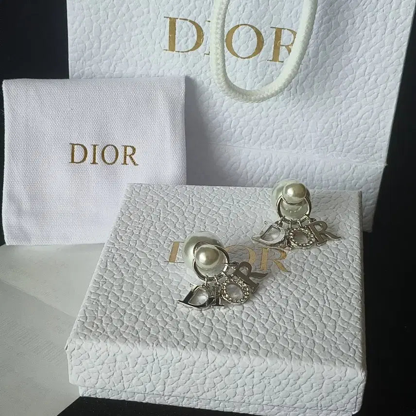 [BUNJANG] Dior Tribales Earrings Silver / 디올 트라이발레스 트라이벌 피어스 실버