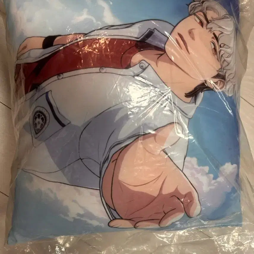 [BUNJANG] Aniplex Eunho Cushion Unsealed / 애니플러스 은호 쿠션 개봉 미사용 팝니다