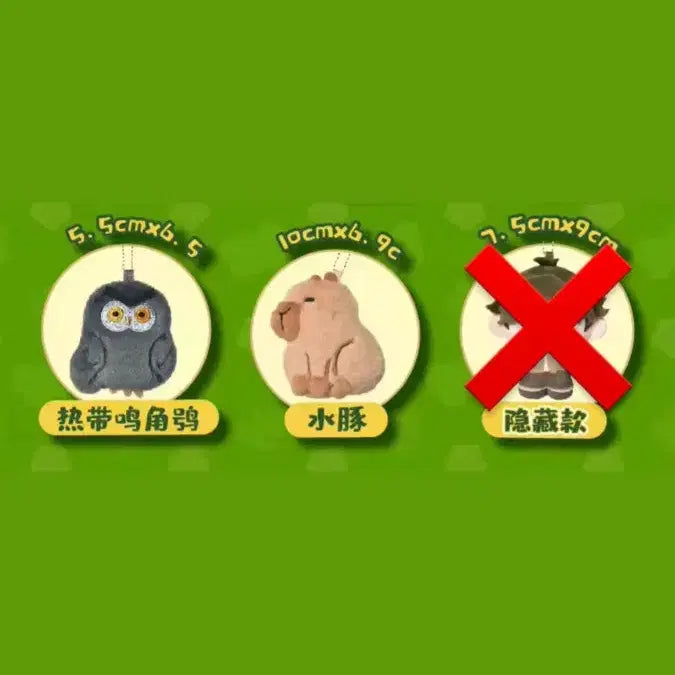 [BUNJANG] Jungle Tropical Rainforest Animal Magnet Keyring / 하찮은 정글 열대우림 동물 마그넷 자석 키링