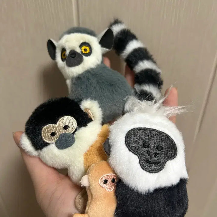 [BUNJANG] Jungle Tropical Rainforest Animal Magnet Keyring / 하찮은 정글 열대우림 동물 마그넷 자석 키링