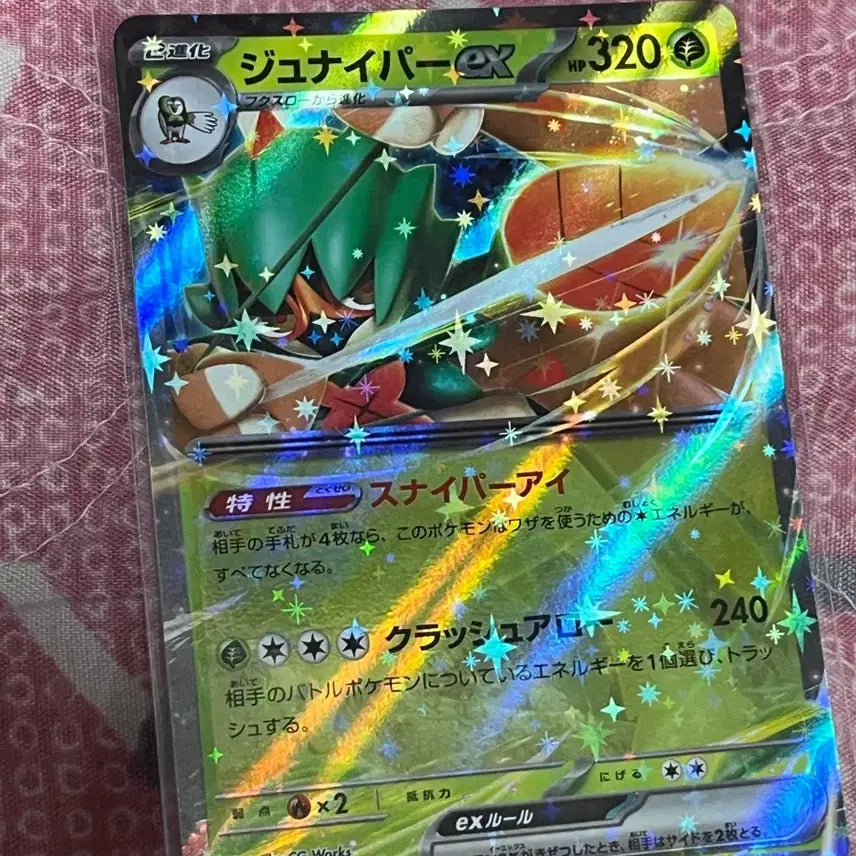 [BUNJANG] Japanese Edition Pokemon Card MokNaiper RR / 일본판 포켓몬 카드 모크나이퍼 RR