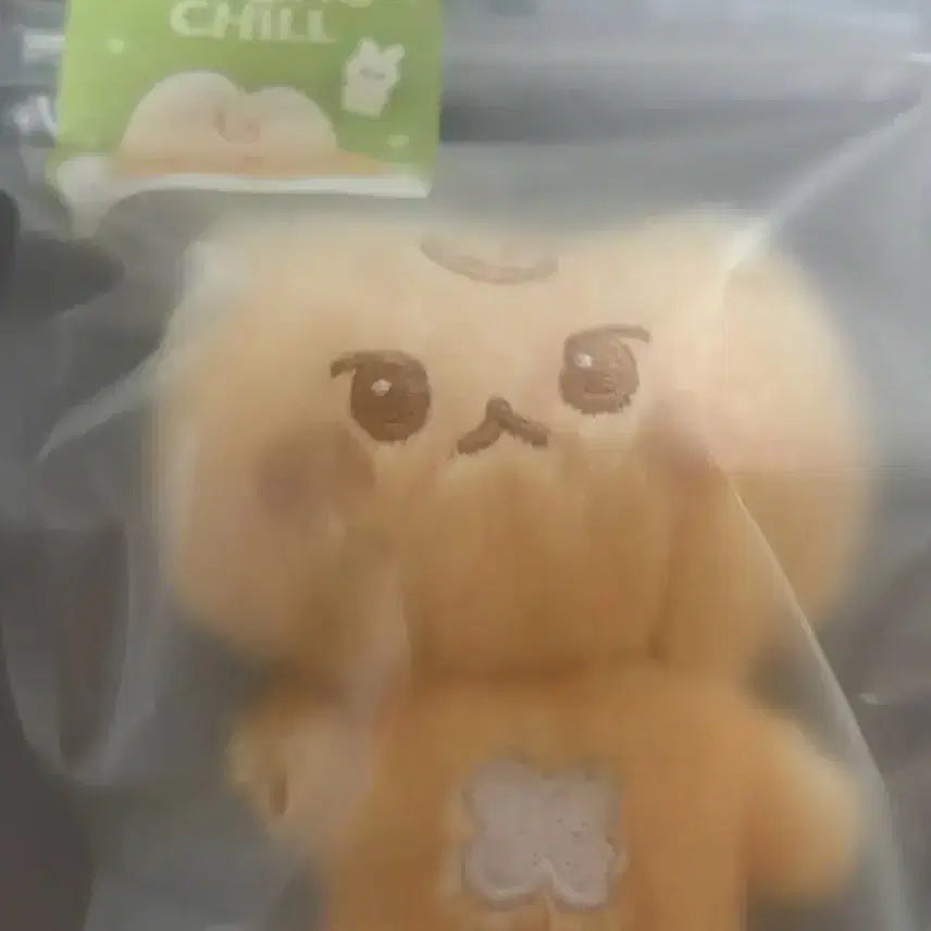 [BUNJANG] NCT Doyoung Dogungbbang Stuffed Doll Keyring (Sealed) / 엔시티 nct 도영 도궁빵 솜뭉칠 인형 키링 미개봉 양도