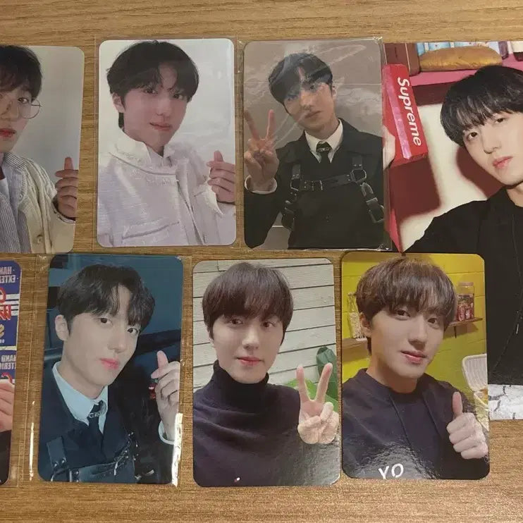 [BUNJANG] SF9 Chani Photocard Bundle Set / SF9 찬희 포카 일괄