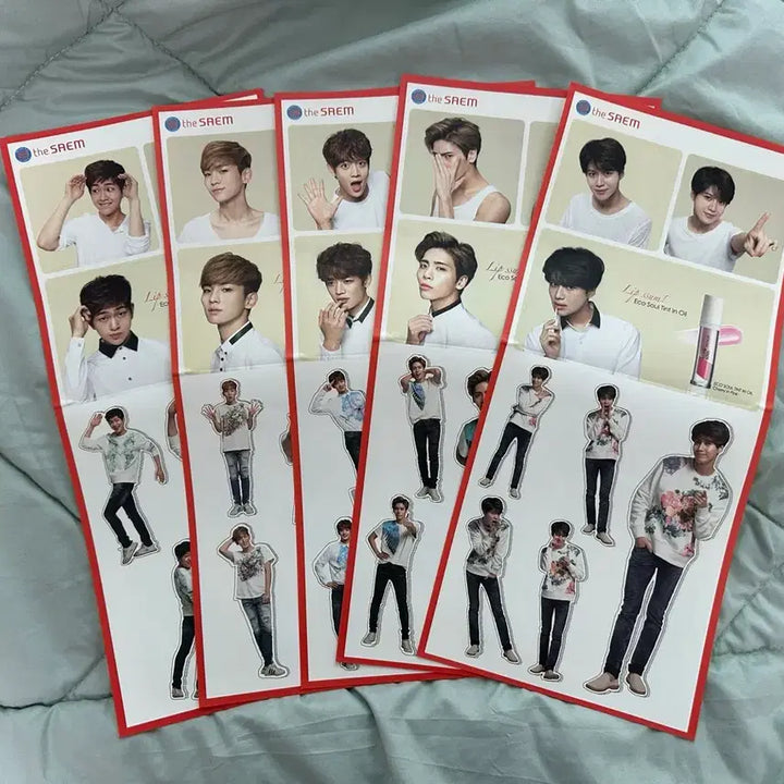 [BUNJANG] SHINee The Saem Sticker / 샤이니 더샘 스티커