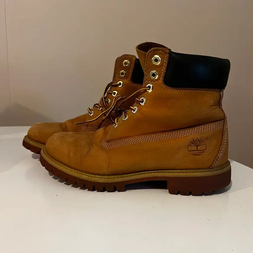 [BUNJANG] Timberland 6-Inch Premium Boots Brown / 팀버랜드 6인치 프리미엄 부츠 브라운 (00475)