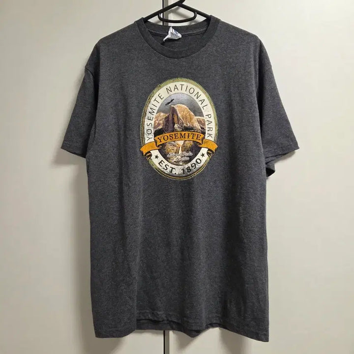 [BUNJANG] Delta Pro Weight Mexican Made Vintage T-Shirt - Dark Grey (L) / 멕시코제 Delta 빈티지 반팔 티셔츠 L(100)