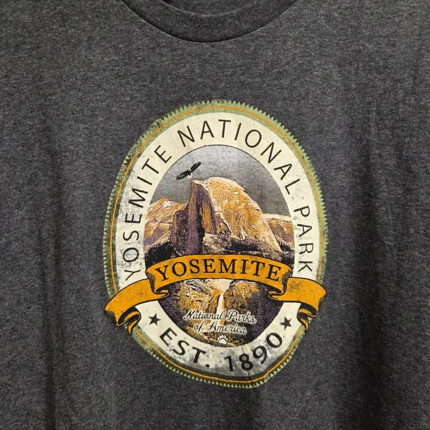 [BUNJANG] Delta Pro Weight Mexican Made Vintage T-Shirt - Dark Grey (L) / 멕시코제 Delta 빈티지 반팔 티셔츠 L(100)