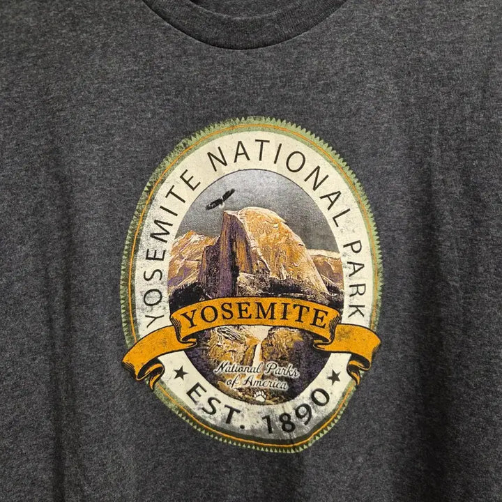 [BUNJANG] Delta Pro Weight Mexican Made Vintage T-Shirt - Dark Grey (L) / 멕시코제 Delta 빈티지 반팔 티셔츠 L(100)