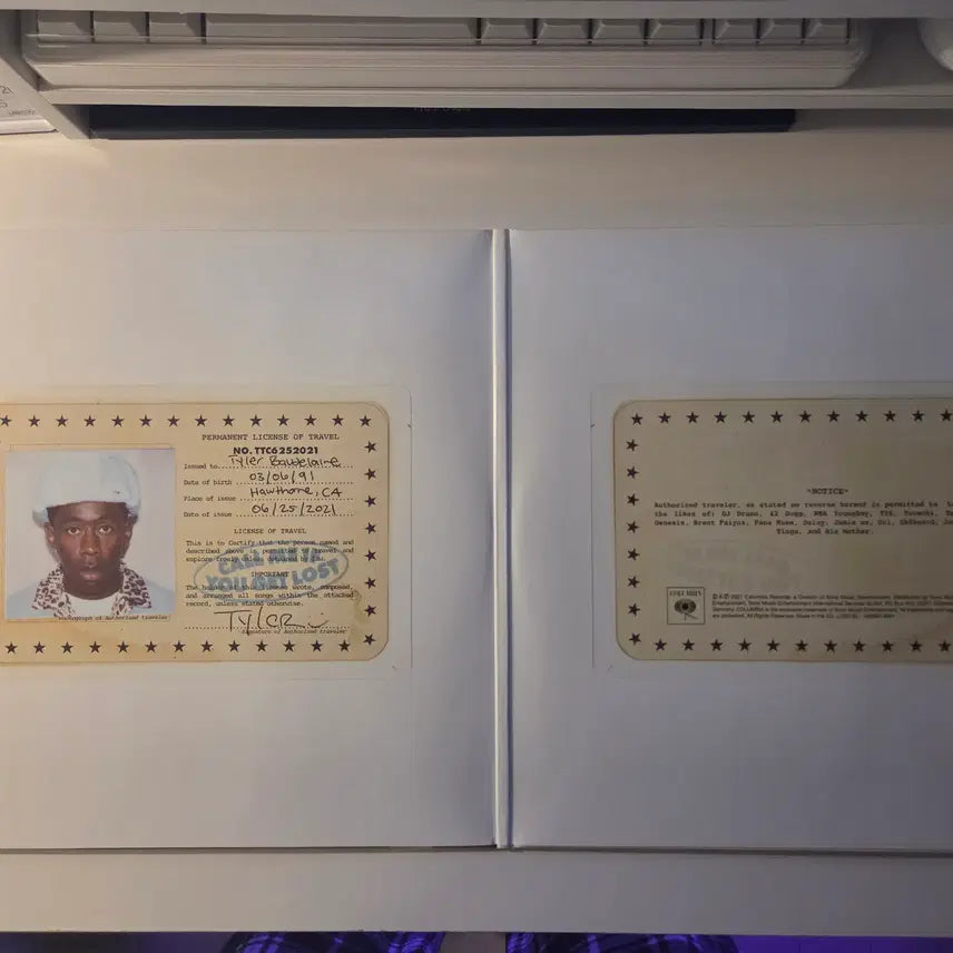 [BUNJANG] Tyler, the Creator CALL ME IF YOU GET LOST 2LP Vinyl Record / 타일러 더 크리에이터 LP