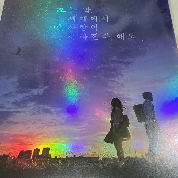 [BUNJANG] Oseisa Nobel Poster / [전용박스 안전포장] 오세이사 노벨 포스터