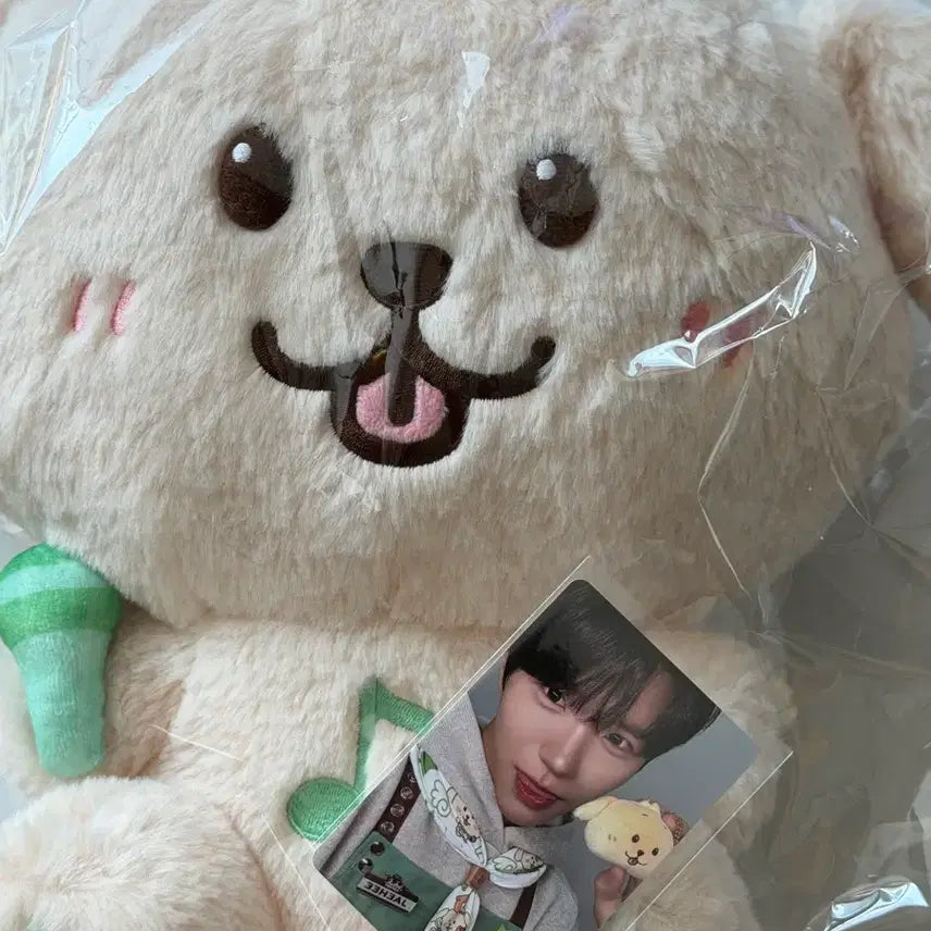 [BUNJANG] NCT WISH Wish Bakery Ddeng Treeber 30cm Photocard Bundle Set / 엔시티위시 위시베이커리 댕트리버 30cm(7만원 포카 포함)