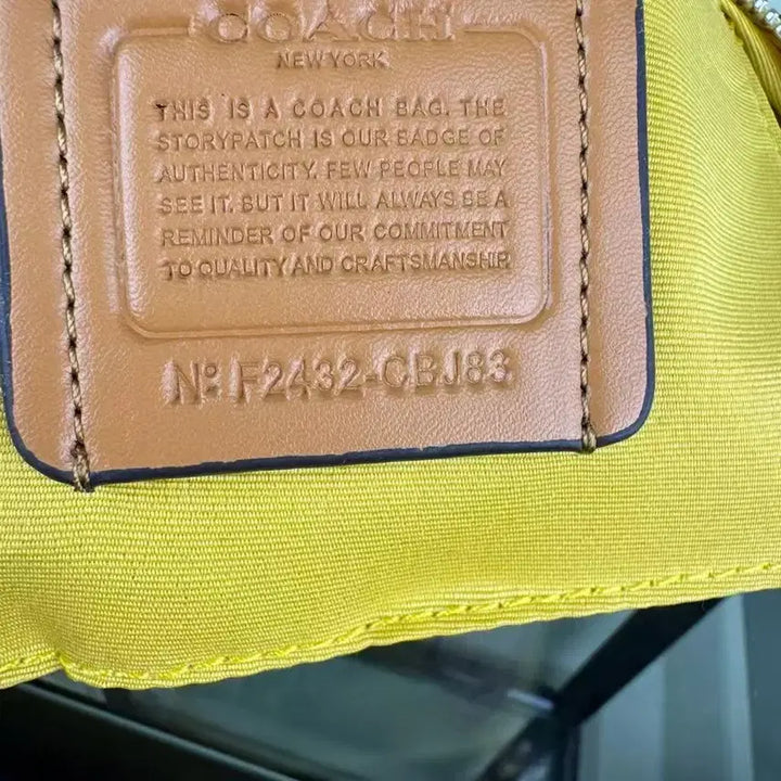 [BUNJANG] Coach Teri25 Crossbody Bag / 피치피너츠 콜라보레이션 Teri25 캐릭터 프린트