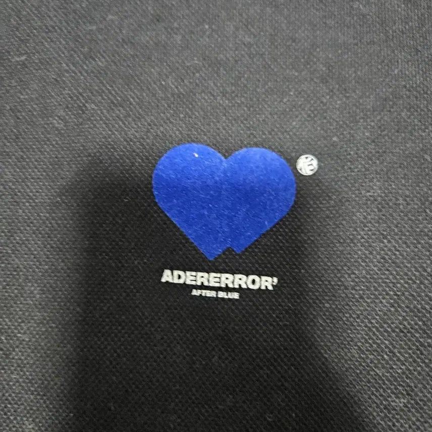 [BUNJANG] ADER Error A2 Sweatshirt / 아더에러 맨투맨 a2 100~105