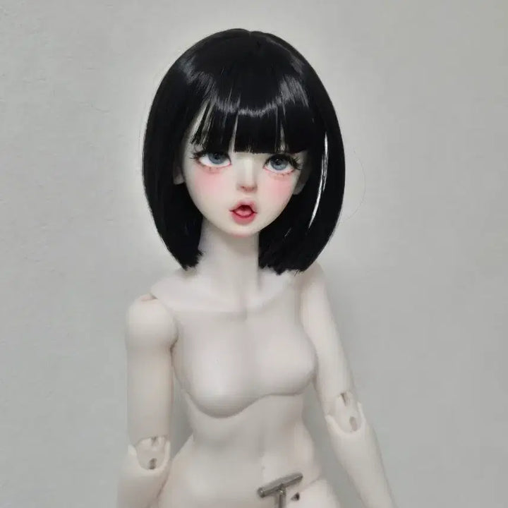 [SOLD OUT] msd 메이크업된 헤드 미백 구관헤드 구체관절인형