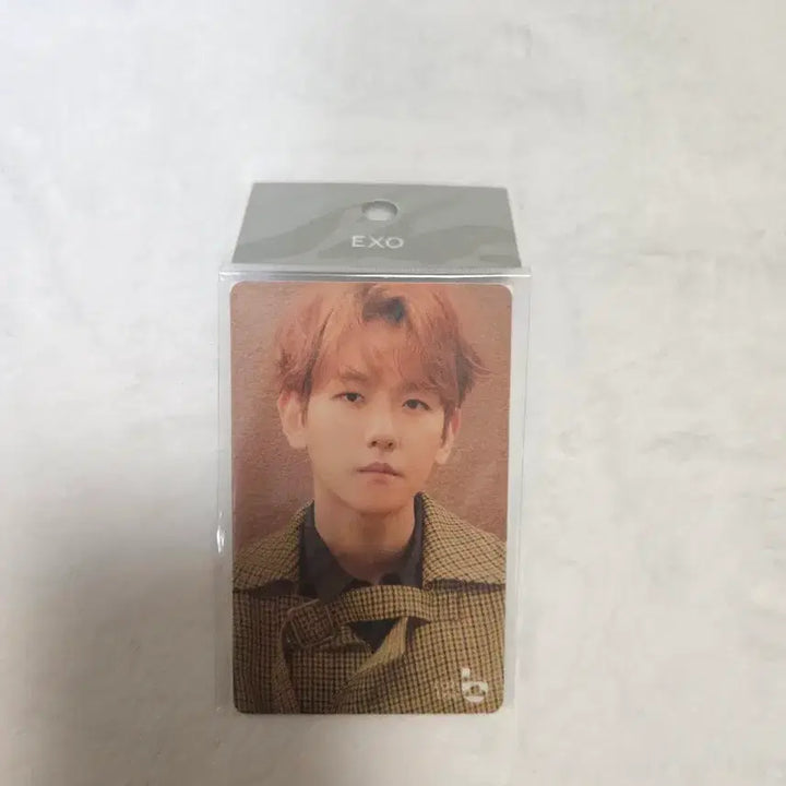 [BUNJANG] EXO Baekhyun Cashbee Photocard / 엑소 백현 캐시비 포카