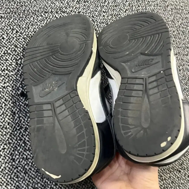 [SOLD OUT] (270) 나이키 덩크로우 범고래
