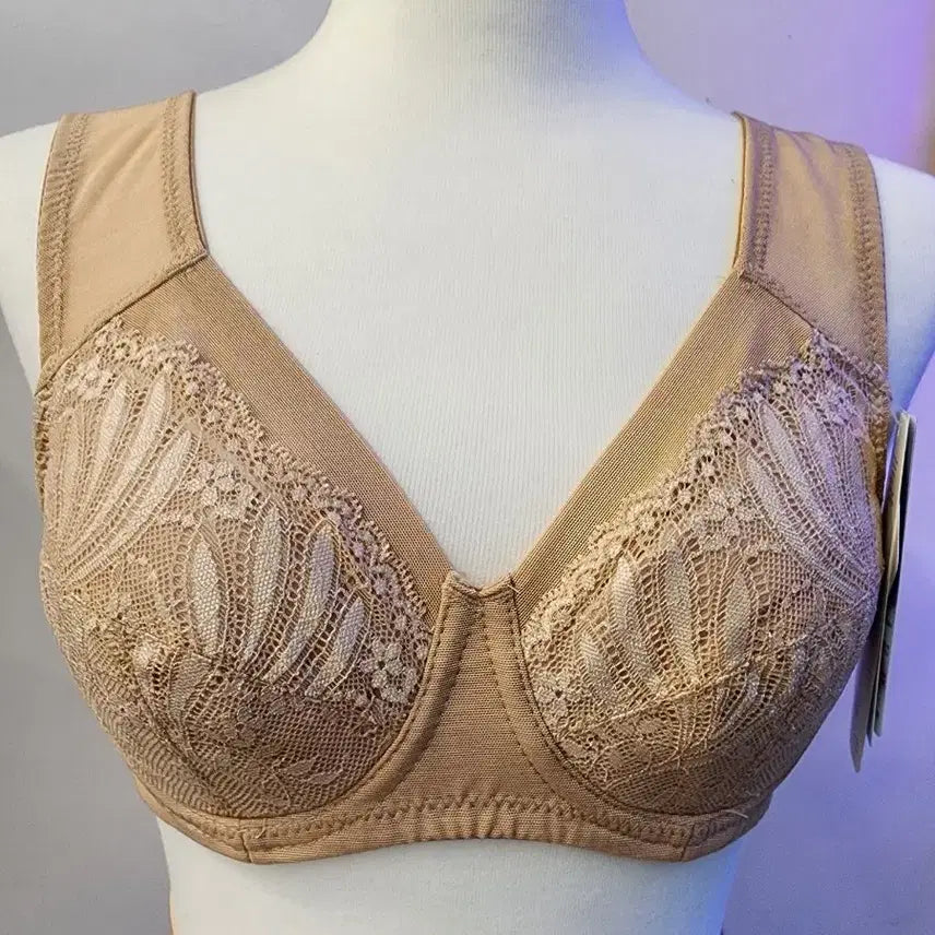 [BUNJANG] Collagen Bra and Panty Set / 기능성 콜라겐 브라 팬티 단돈 만원!!!