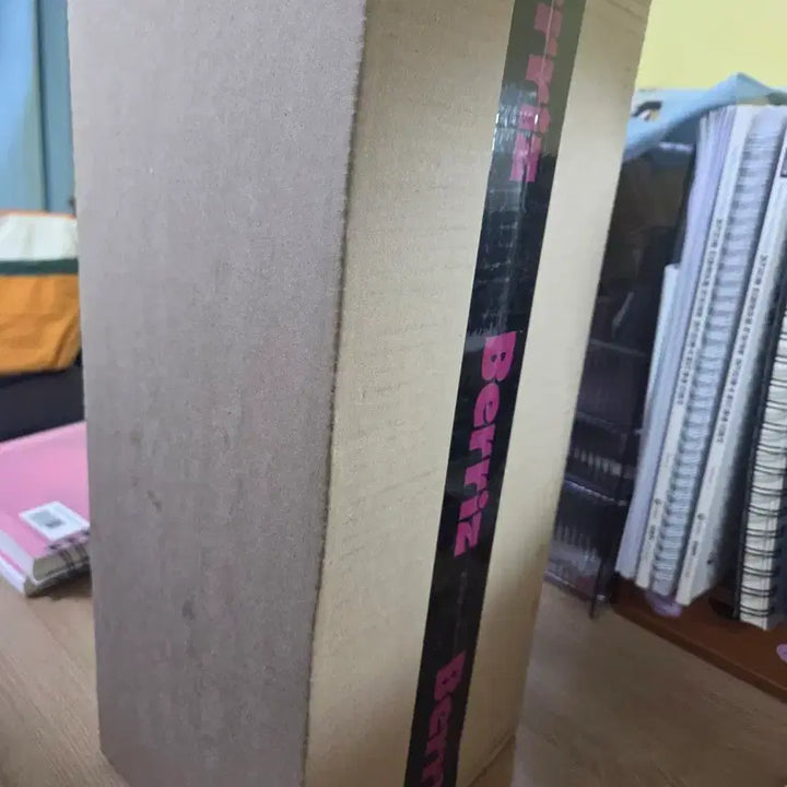 [BUNJANG] Taeyeon Microphone Album (Sealed) / 태연 미개봉 마이크앨범